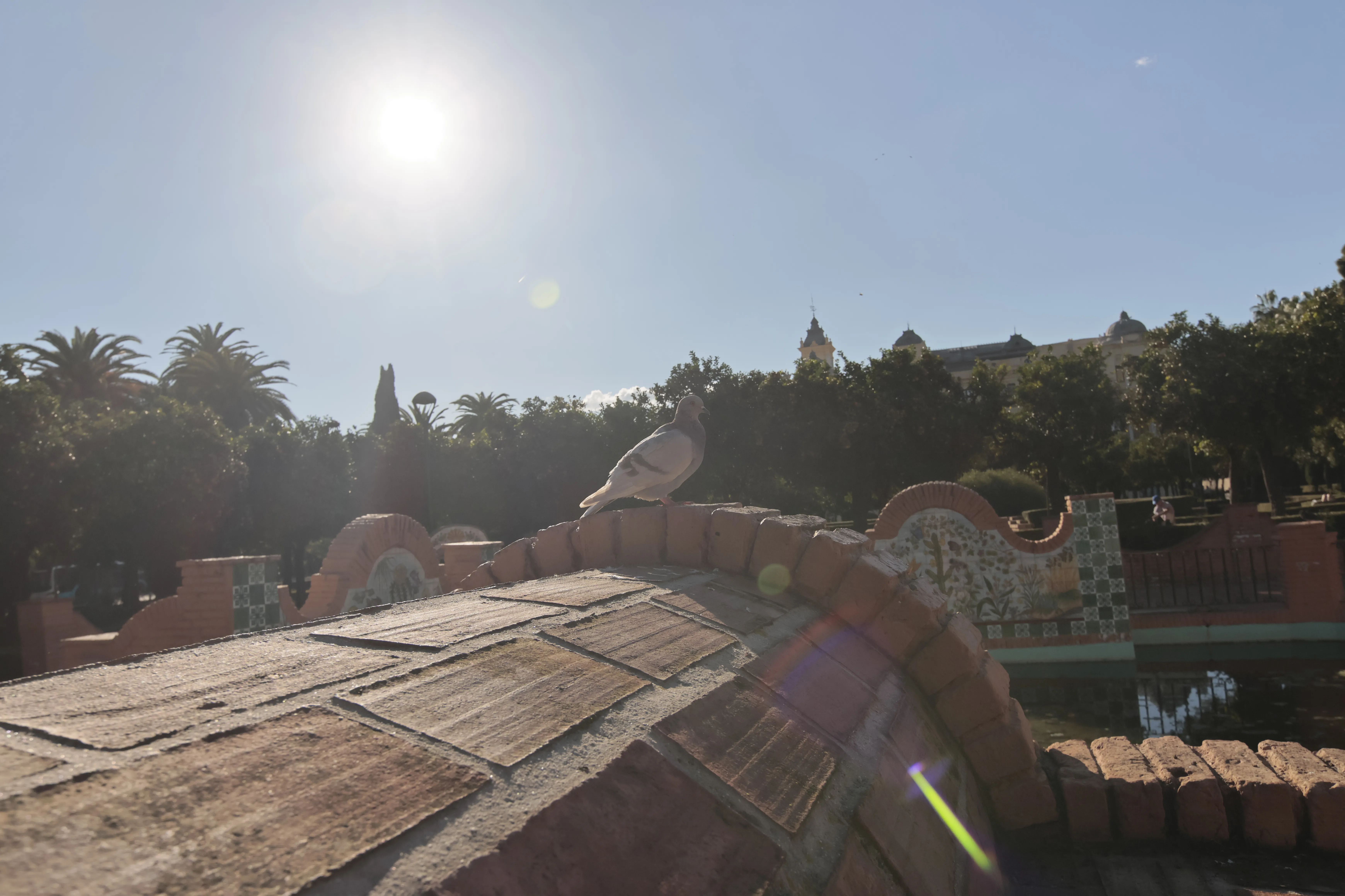 Tokina at-x 116 (EF) - _I4A1092.webp